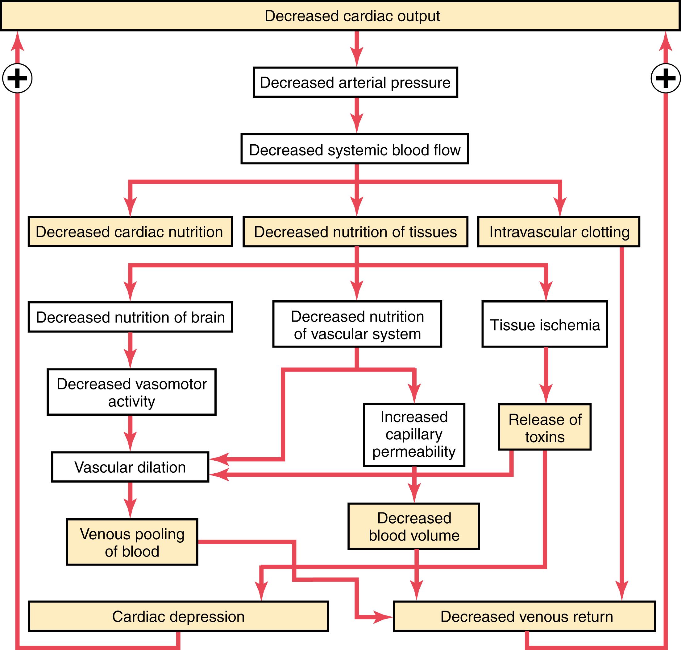 Figure 24-3, Different types of positive feedback that can lead to the progression of shock.