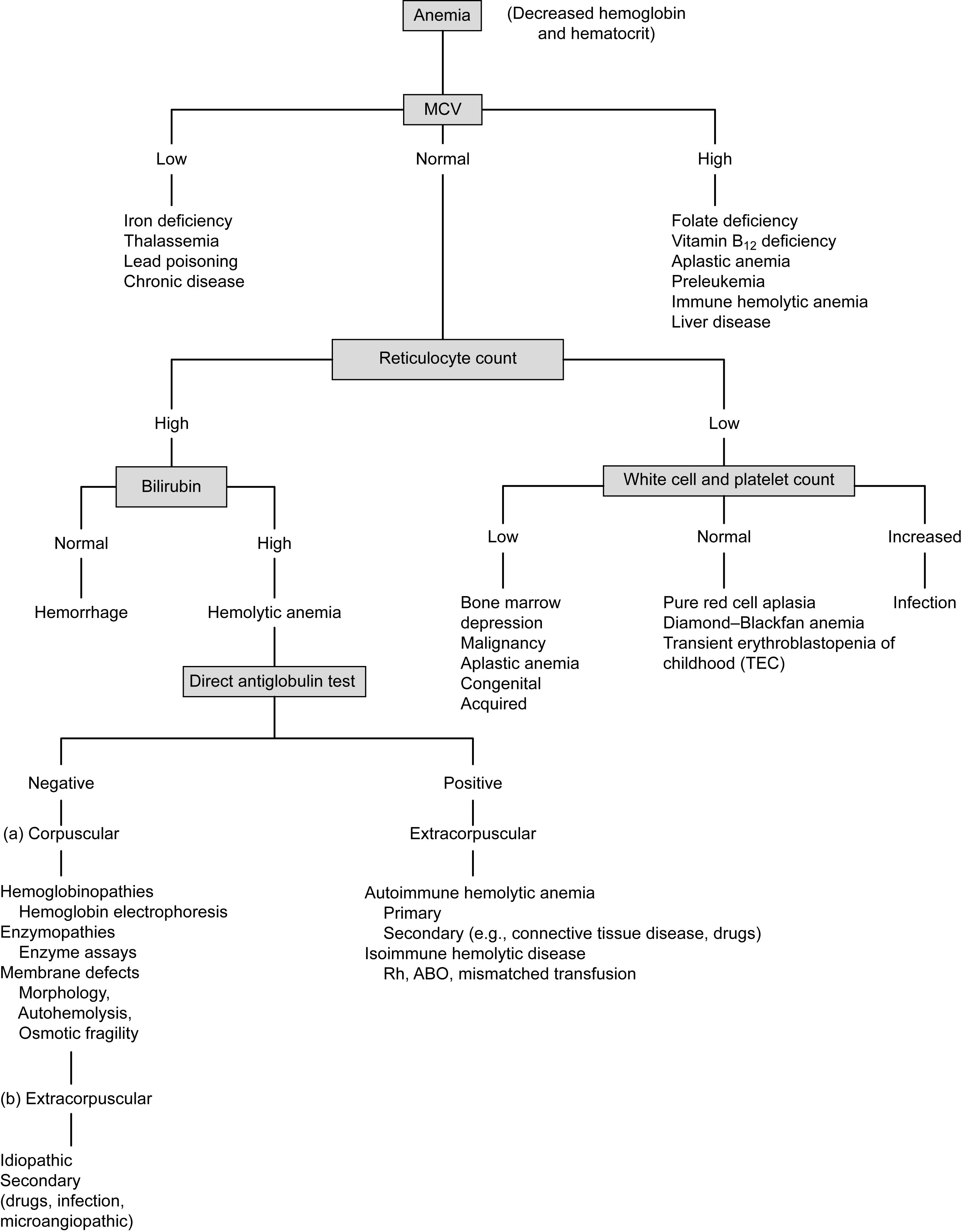 Figure 3.2, Approach to the diagnosis of anemia by MCV and reticulocyte count.