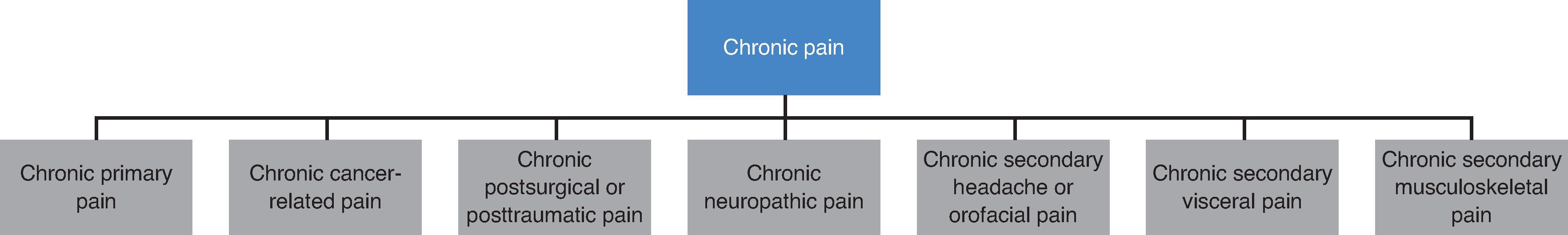 Figure 2.1, International Classification of Diseases (ICD)-11 chronic pain terms.