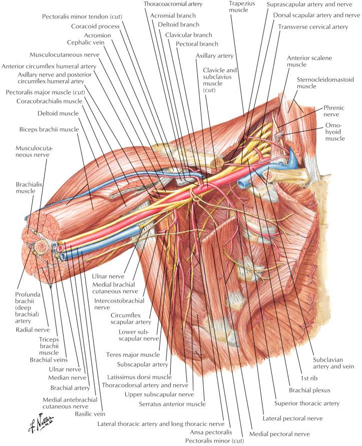 Figure 12.2