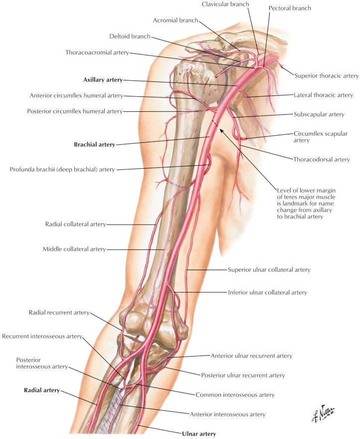 Figure 12.5