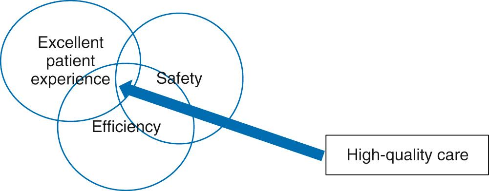 Fig. 84.1, Safety, quality, and efficiency are key drivers of improved patient care.