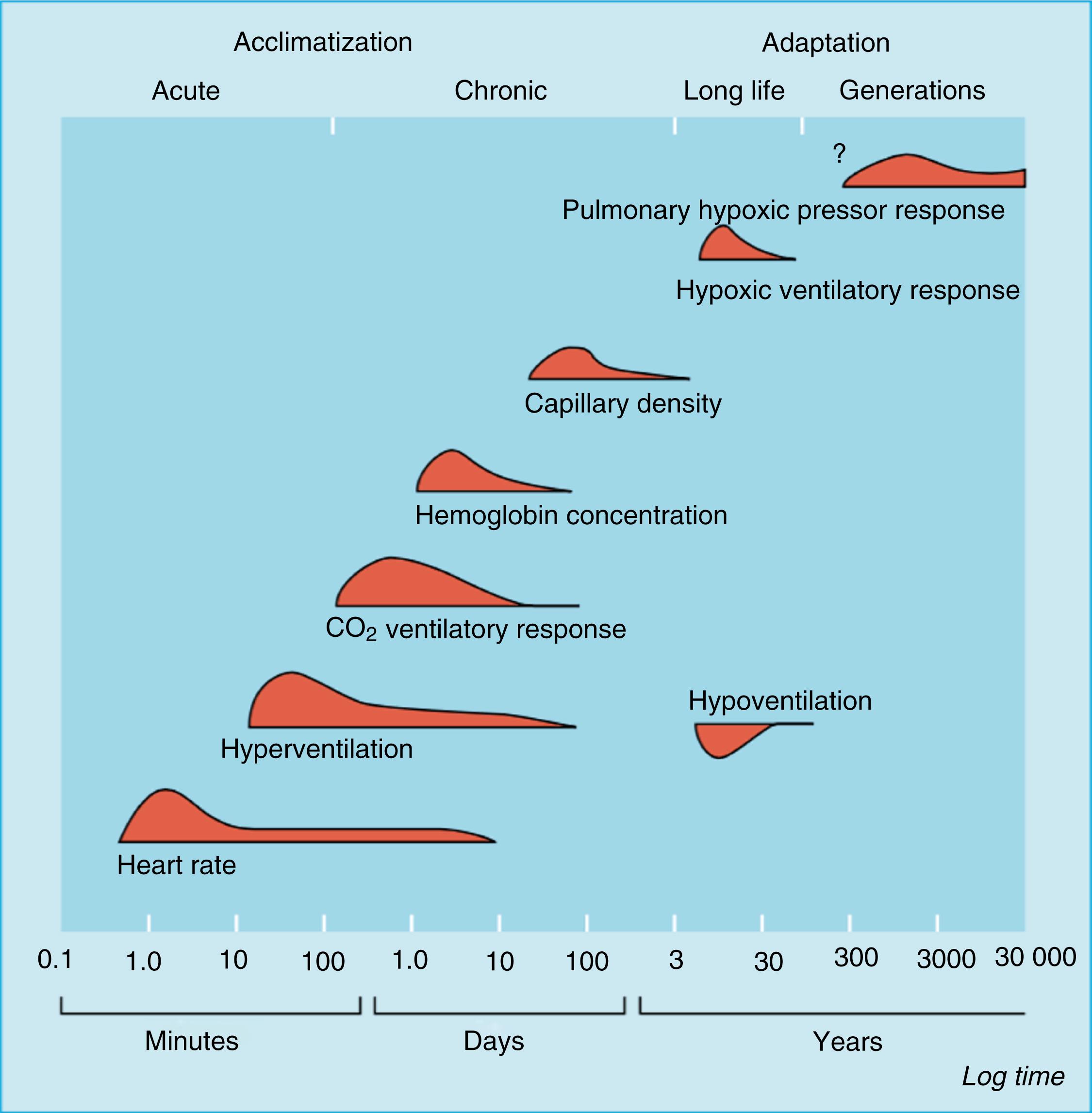 Fig. 74.2, The time course of acclimatization and adaptive responses to hypobaric hypoxia with the curve of each response representing the relative rate of change (note the log time scale).