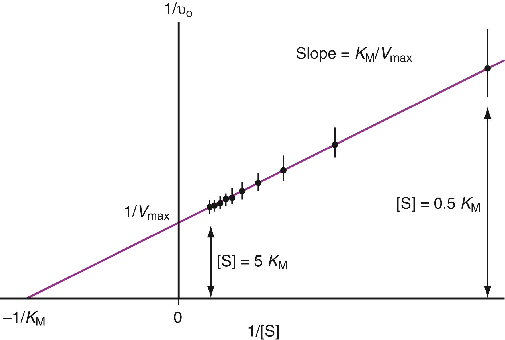 Figure 21.5, A typical Lineweaver-Burk (1/v o vs. 1/[S]) plot, from Equation 21.12 , for an enzyme-catalyzed reaction. v 0 is the initial velocity of the reaction at time t = 0, where the substrate concentration, [S], is known. The figure shows that [S] must cover a range from where it is significantly less than K M (0.5 K M ) to where it is significantly greater than K M (5 K M ) to obtain reliable values for K M and V max . The Y-intercept is 1/V max , and the X-intercept is –1/K M . The slope is K M /V max .