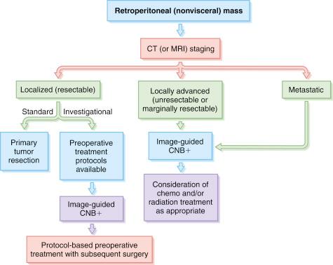 Fig. 2.4, Pretreatment evaluation, staging, and treatment algorithm for assessment of the patient presenting with a retroperitoneal (nonvisceral) mass. Patients should undergo pretreatment cross-sectional imaging by CT or MRI. Localized, radiologically resectable masses believed to be neoplastic can be treated by diagnostic and therapeutic primary tumor resection. In clinical settings, where preoperative treatment protocols are available, pretreatment image-guided core-needle biopsy (CNB) should be used to establish the diagnosis of sarcoma for protocol eligibility. Patients with locally advanced (radiologically unresectable) or metastatic disease should undergo CNB for diagnosis followed by consideration of nonsurgical treatments. In general, CNB is sufficient for diagnosis, and surgery performed exclusively for diagnostic purposes (e.g., laparotomy for incisional biopsy) should be avoided whenever possible.