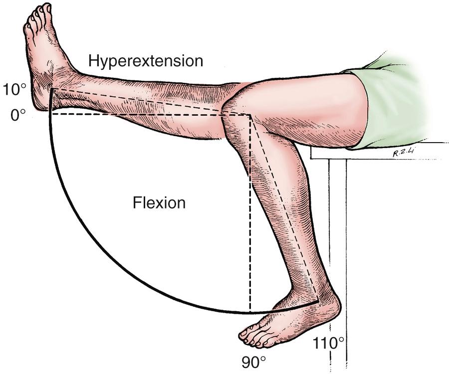 FIG 3.5, Full extension of the knee is the zero or neutral point.