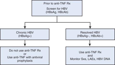 CV Figure 22-1, Algorithm prior to starting an anti–tumor necrosis factor (TNF) agent. HBcAb, Hepatitis B core antibody; HBsAg, hepatitis B surface antigen; HBV, hepatitis B virus; LAE, liver-associated enzyme; Rx, prescription; Sx, symptom.
