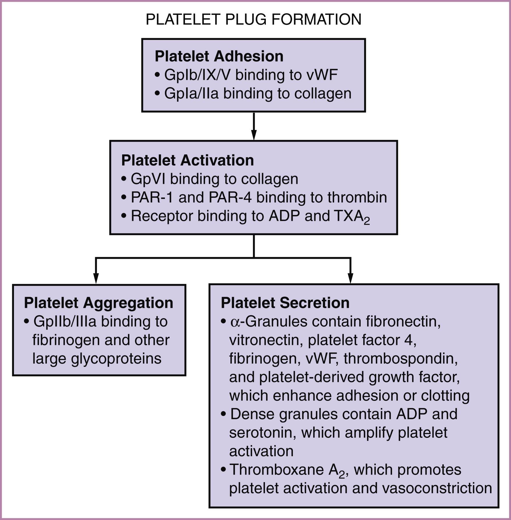 Figure 53.1, Schematic review of platelet function.