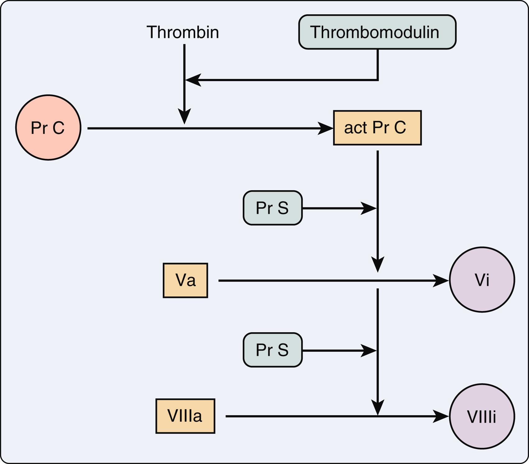 Figure 28.3, Modulators of coagulation. Thrombomodulin from endothelial cells accelerates thrombin activation of protein C (Pr C). In the presence of protein S (Pr S), activated protein C (act Pr C) inactivates factors V and VIII. Proteins C and S are vitamin K dependent. Va , Activated factor V; Vi , inactivated factor V; VIIIa , activated factor VIII; VIIIi , inactivated factor VIII.