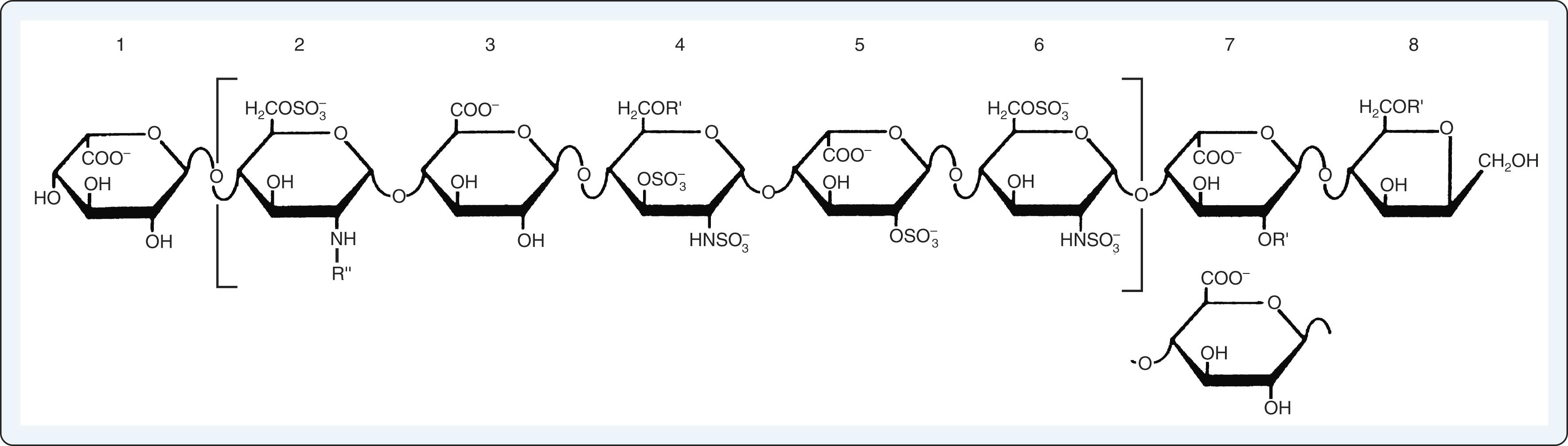 Figure 28.4, The structure of heparin. An octasaccharide fragment of heparin is shown with a substituted alternating copolymer of iduronic acid and glucosamine. The leftmost sugar is iduronic acid. Note the numerous sulfate groups and the acetyl substitution on the second sugar. Variations in sugar substitutions and in chain length produce molecular heterogeneity. Brackets indicate the pentasaccharide sequence that binds to antithrombin.