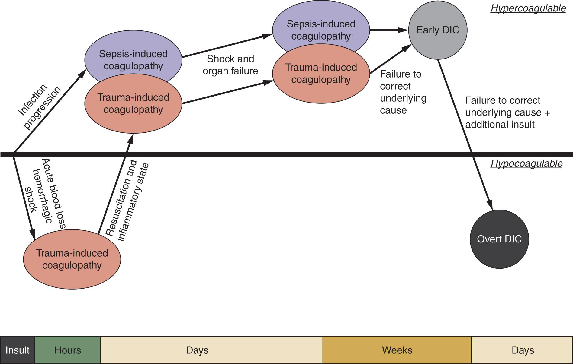 Fig. 22.1, Early trauma-induced coagulopathy (TIC) is distinct in mechanisms and clinical manifestations from disseminated intravascular coagulation ( DIC ), but later TIC and DIC have similar mechanisms and clinical consequences.