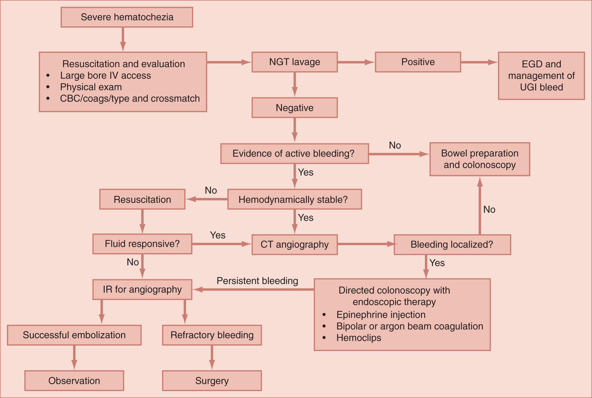 FIGURE 156.2, Treatment algorithm for severe hematochezia. CT, Computed tomography; EGD, esophagogastroduodenoscopy; IR, interventional radiology; IV , intravenous; NGT, nasogastric tube; UGI , upper gastrointestinal.