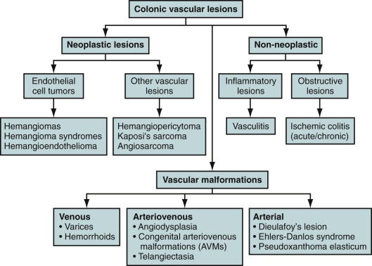 Figure 32-1, Algorithm for colonic vascular lesions.