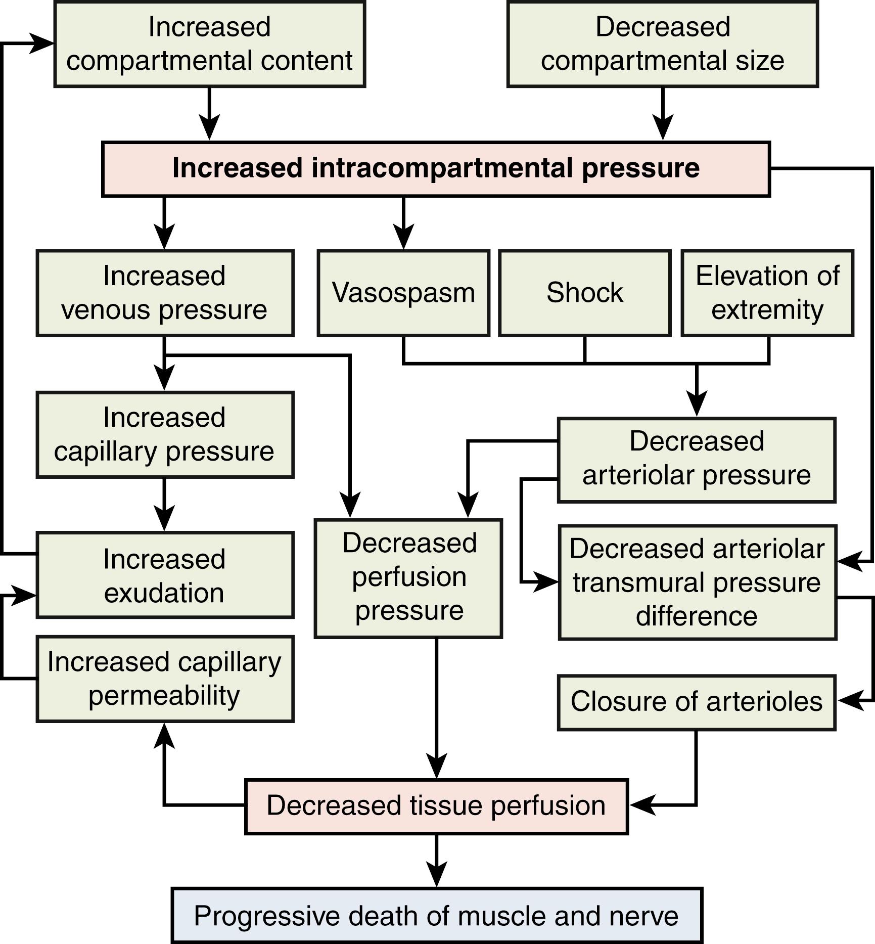 Fig. 51.3, Schematic representation of factors contributing to the vicious cycle of compartment syndrome, based on the descriptions of Holden and the proposed unified concept theory of Matsen.