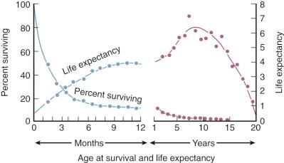 Figure 52-26, Survival and life expectancy of 655 children with transposition of great arteries (TGA) of all types, all of whom died between 1957 and 1964; 73 living children and 14 miscellaneous deaths are excluded. Group is impure in that about 15% of the total had either single ventricle, hypoplasia of left ventricle with mitral stenosis or atresia, or hypoplasia of right ventricle with tricuspid stenosis or atresia. However, trends are representative of patients with TGA.