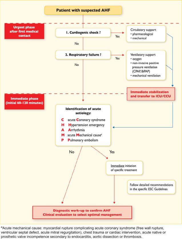 Fig. 16.1, Algorithm for initial evaluation and management of patients with suspected acute heart failure. AHF, acute heart failure; BiPAP, bi-level positive airway pressure; CCU, coronary care unit; CPAP, continuous positive airway pressure; ESC, European Society of Cardiology; ICU, intensive care unit.