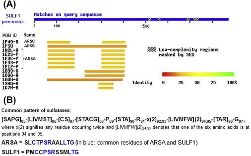 Figure 17.2, SULF1 Sequence Alignment Against Proteins With Resolved 3-D Structures.