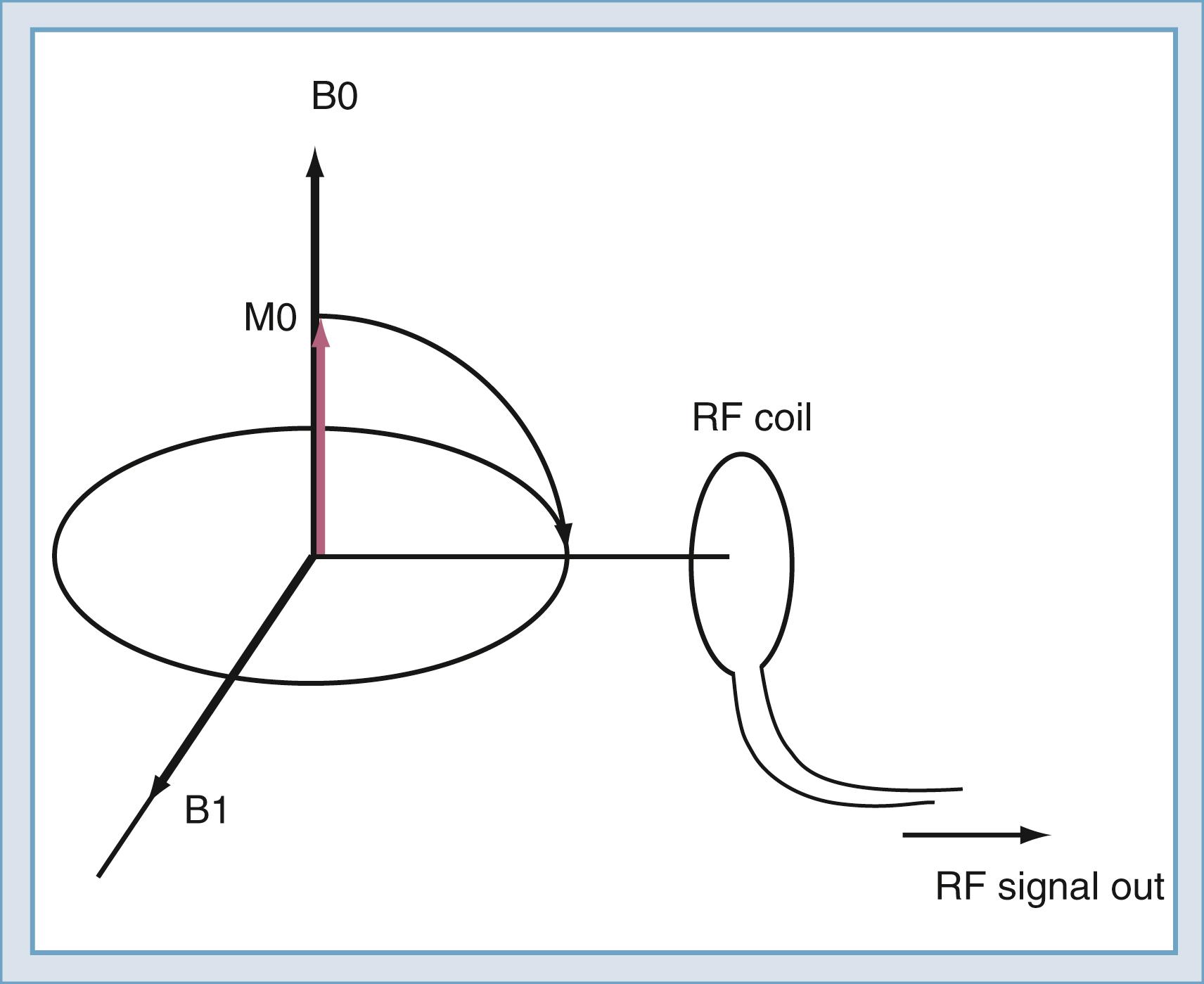 Figure 10.12, The radiofrequency (RF) coil both transmits and receives the signal from the spins in the transverse plane, where B0 and B1 are magnetic fields and M0 is the magnetization.