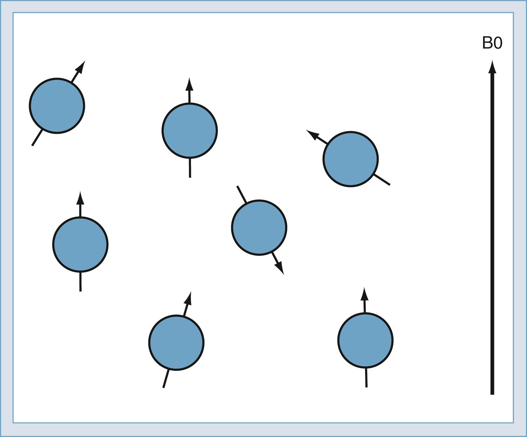 Figure 10.9, Illustration of nuclear spins in the magnetic field B0.