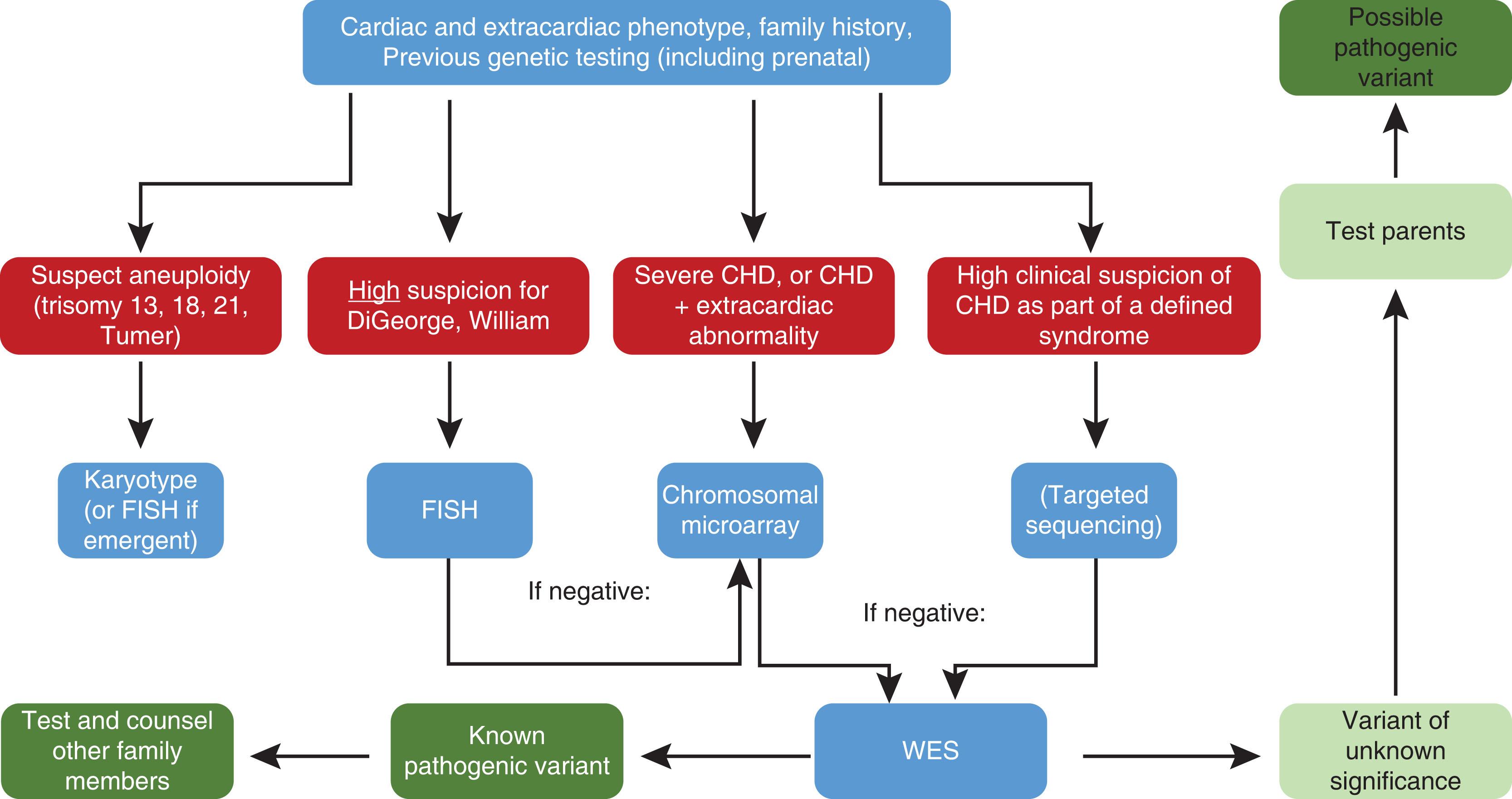 Fig. 50.3, An Algorithm for Genetic Testing in the Congenital Heart Disease Patient.