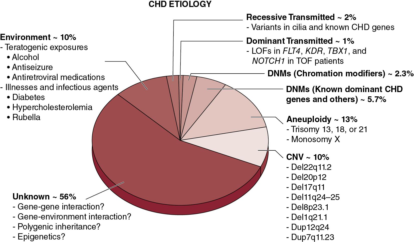 Fig. 16.1, Pie chart showing genetic and environmental etiologies of congenital heart disease. CNM, Copy number variation; DNM, de novo mutation.