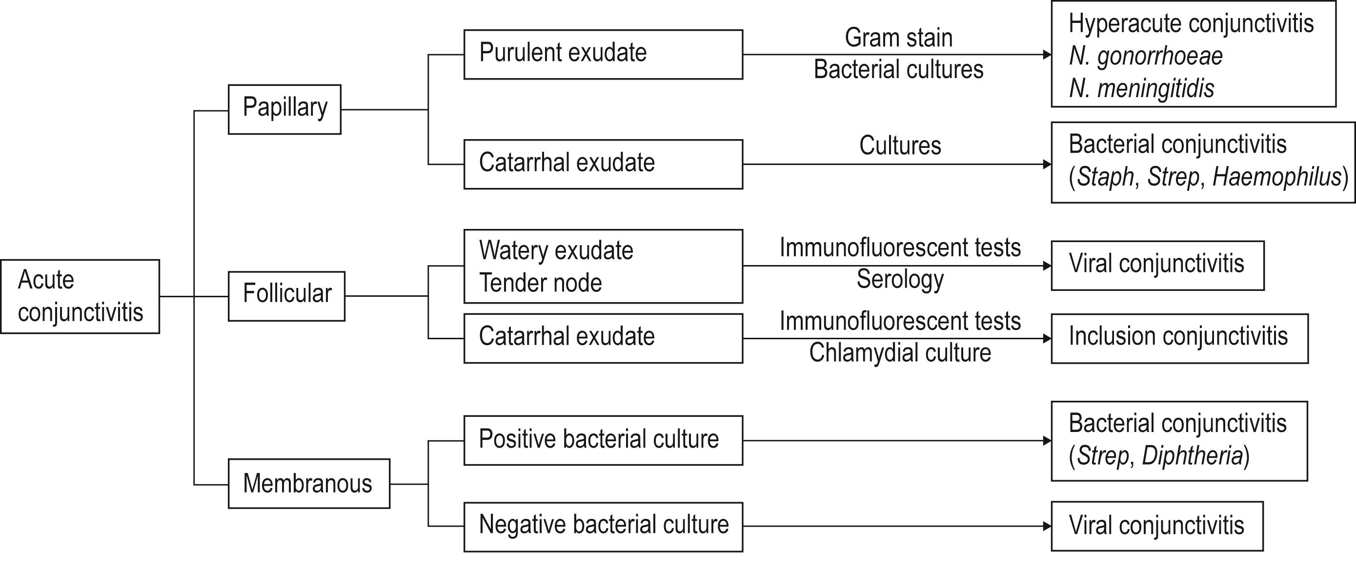 Fig. 36.1, An algorithm for diagnosing acute conjunctivitis.