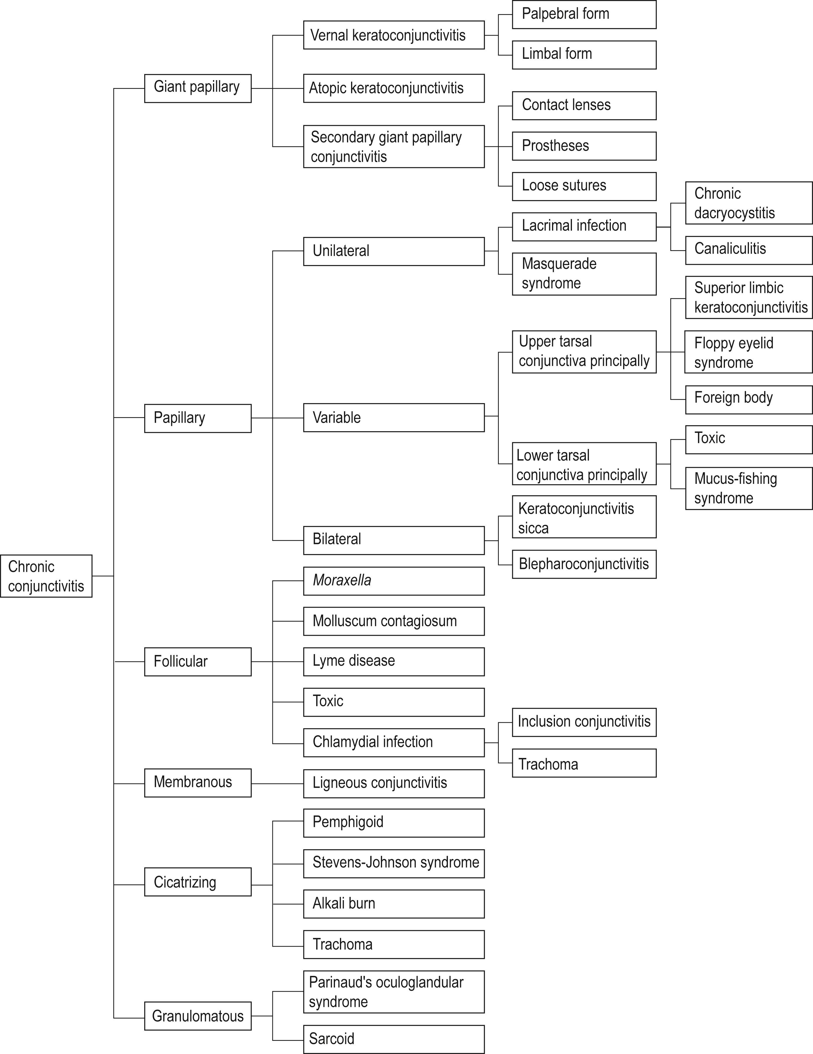 Fig. 36.2, An algorithm for diagnosing chronic conjunctivitis.