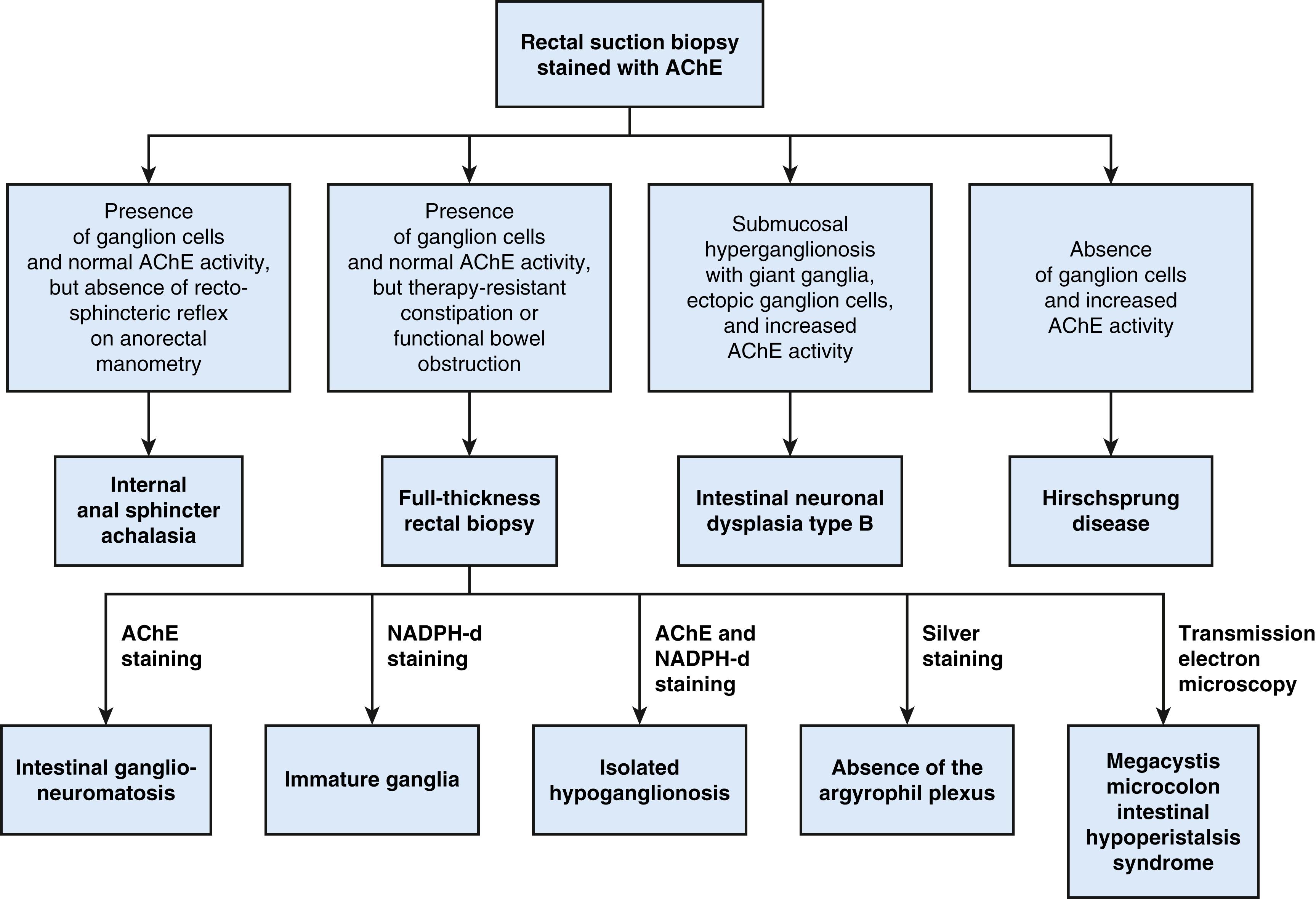 Fig. 19.4, Diagnostic algorithm for investigating chronic constipation and functional bowel obstruction in newborn infants and young children. AChE, acetylcholinesterase; NADPH-d, nicotinamide adenine dinucleotide phosphate diaphorase.