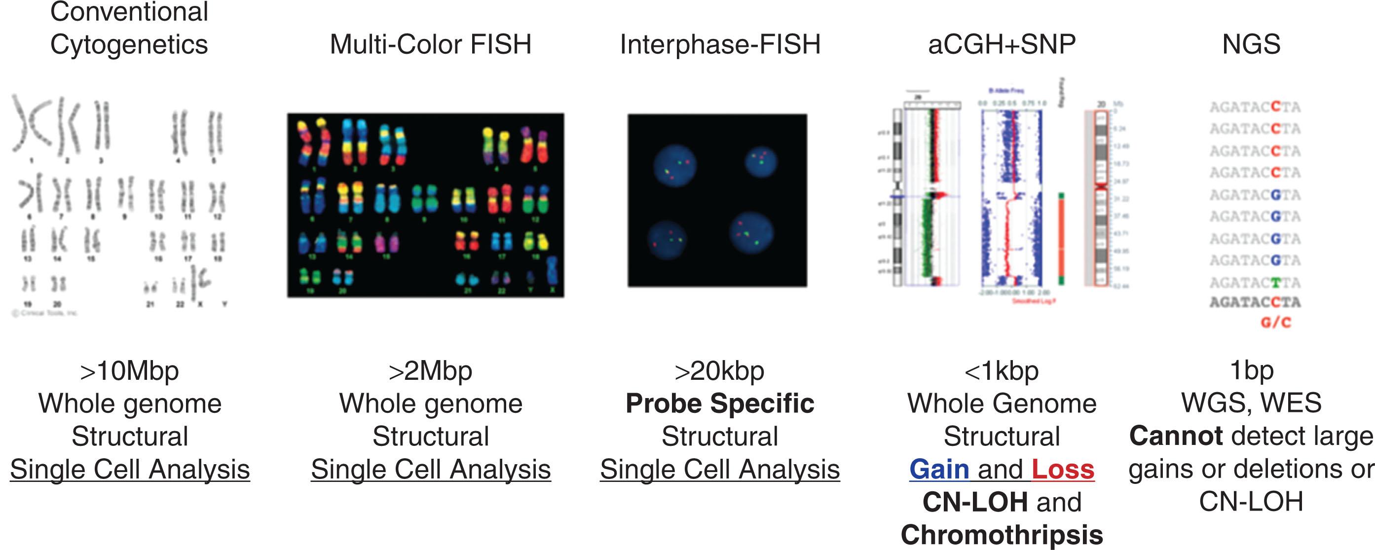 Figure 57.1, COMPLEMENTARY METHODOLOGIES OF IDENTIFYING VARIOUS GENOMIC ALTERATIONS AND THEIR RESOLUTIONS.