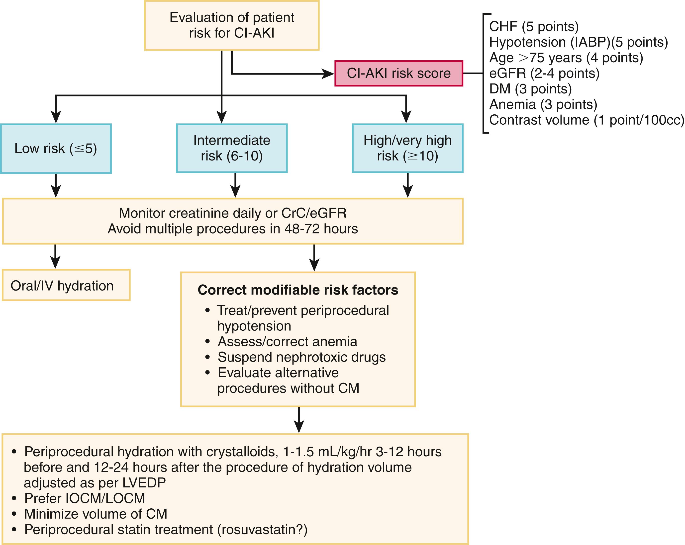 FIGURE 21.2, Risk score to determine the probability of contrast-induced acute kidney injury. BID, Twice daily; CHF, congestive heart failure; CI-AKI, contrast-induced acute kidney injury; CM, contrast media; CrC, creatinine clearance; DM, diabetes mellitus; eGFR, estimated glomerular filtration rate; IOCM, iso-osmolar contrast media; IV, intravenous; LOCM, low-osmolar contrast media; LVEDP, left ventricular end-diastolic pressure. See also Chapter 101 and Figure 101.7 for a management strategy for CI-AKI.