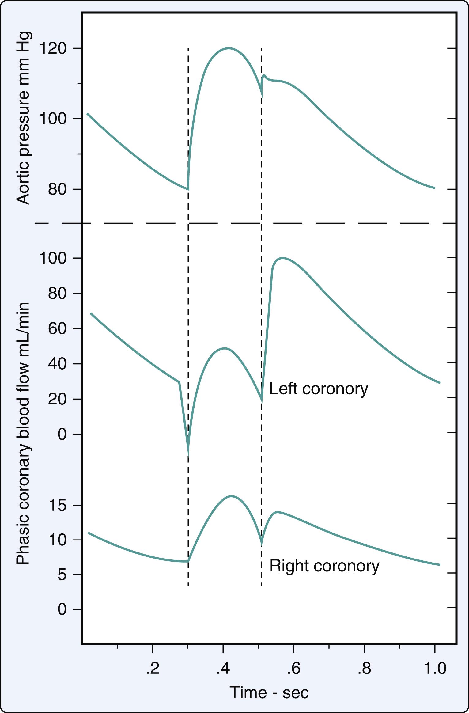 Figure 6.3, Difference in phasic blood flow in the left coronary (LC) and right coronary (RC) arteries. LC blood flow is impeded by extravascular compressive forces generated by LV contraction. These forces are so high that LC blood flow is briefly reversed during systole. LC blood flow increases to a maximum early in diastole and then falls gradually following the decline in aortic pressure during the remainder of diastole. Because of lower RV developed pressure, there is no systolic inhibition of its blood flow. RC blood flow is appreciable throughout the cardiac cycle and follows the shape of the aortic pressure curve. The left vertical line indicates the onset of systole, whereas right vertical indicates the onset of diastole.