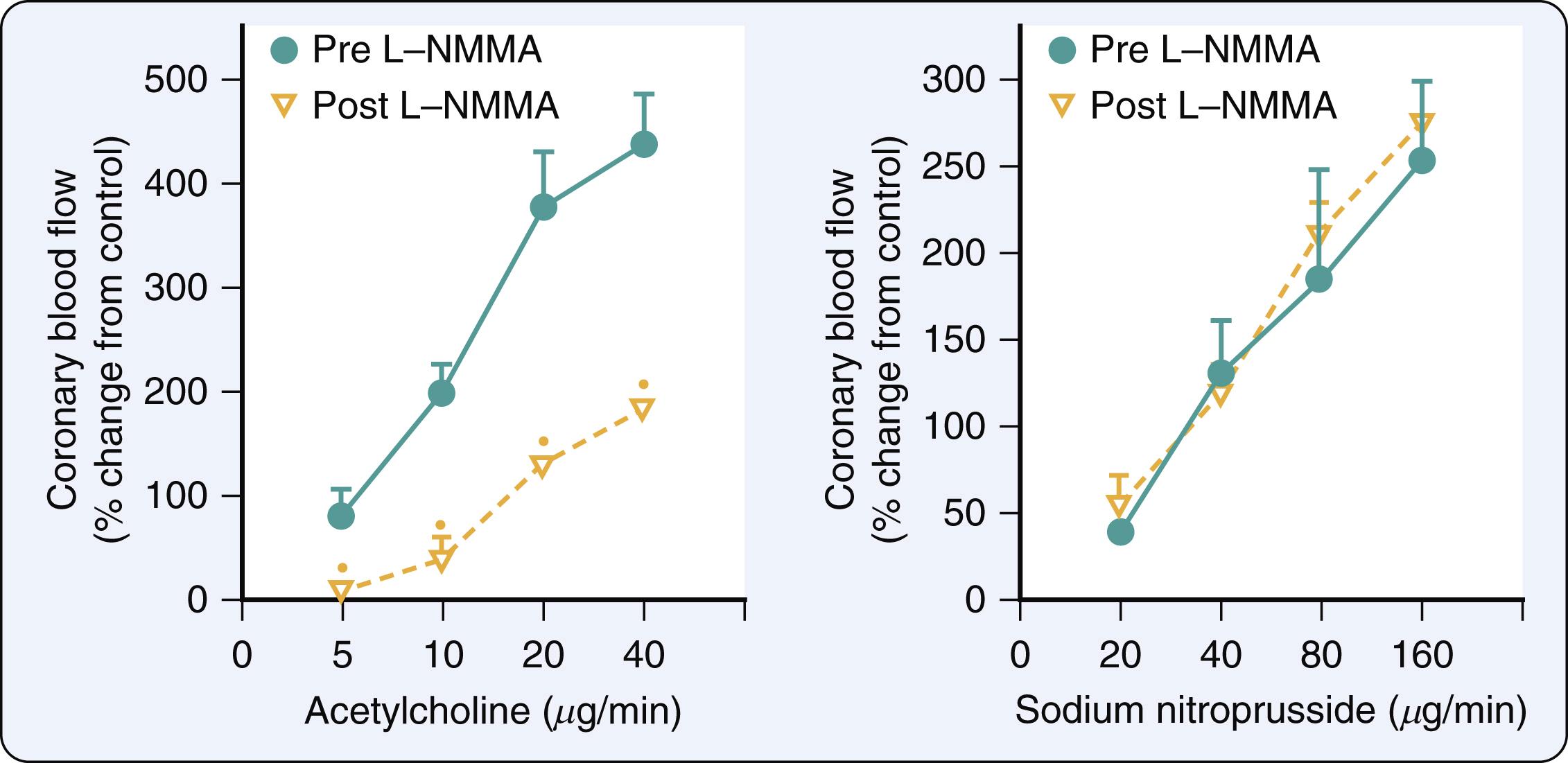 Figure 6.7, Intracoronary infusion of acetylcholine causes dose-dependent increases in coronary blood flow that were blunted by pretreatment with the nitric oxide (NO) synthase inhibitor N G -monomethyl-L-arginine (L-NMMA), suggesting a role for endothelium-derived NO in the coronary vasodilation. The increases in coronary blood flow produced by the endothelium-independent vasodilator sodium nitroprusside were not affected by L-NMMA, indicating that L-NMMA’s inhibitory influence during acetylcholine did not occur because vascular smooth muscle function was impaired.