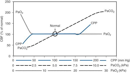 Figure 26.4, Effect of changes in arterial carbon dioxide tension (PaCO 2 ) and arterial oxygen tension (PaO 2 ) on cerebral vascular autoregulation and thereby CBF. CBF, cerebral blood flow; CPP, cerebral perfusion pressure.