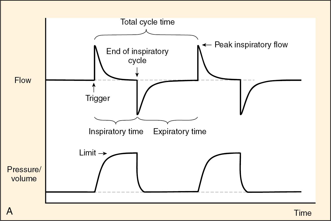 Fig. 58.1, A, Phases of a breath. B, Flow and pressure scalars for different inspiratory flow patterns.