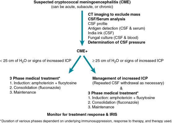 Fig. 27.1, Algorithm for the diagnosis and management of cryptococcal meningoencephalitis. CSF, cerebrospinal fluid; CT, computed tomography; ICP , intracranial pressure; IRIS, immune reconstitution inflammatory syndrome.