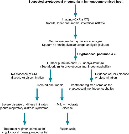 Fig. 27.2, Algorithm for the diagnosis and management of cryptococcal pneumonia. CSF, cerebrospinal fluid; CNS, central nervous system; CT, computed tomography; CXR, chest x-ray.