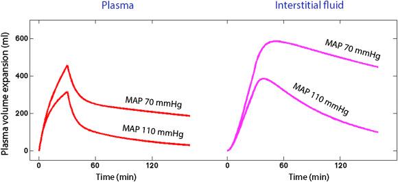 Figure 50.1, Volume kinetic simulation of the expansion of the plasma volume and the interstitial fluid space for infusion of 1 L of Ringer lactate over 30 min when the mean arterial pressure (MAP) is 70 mmHg or 110 mmHg.