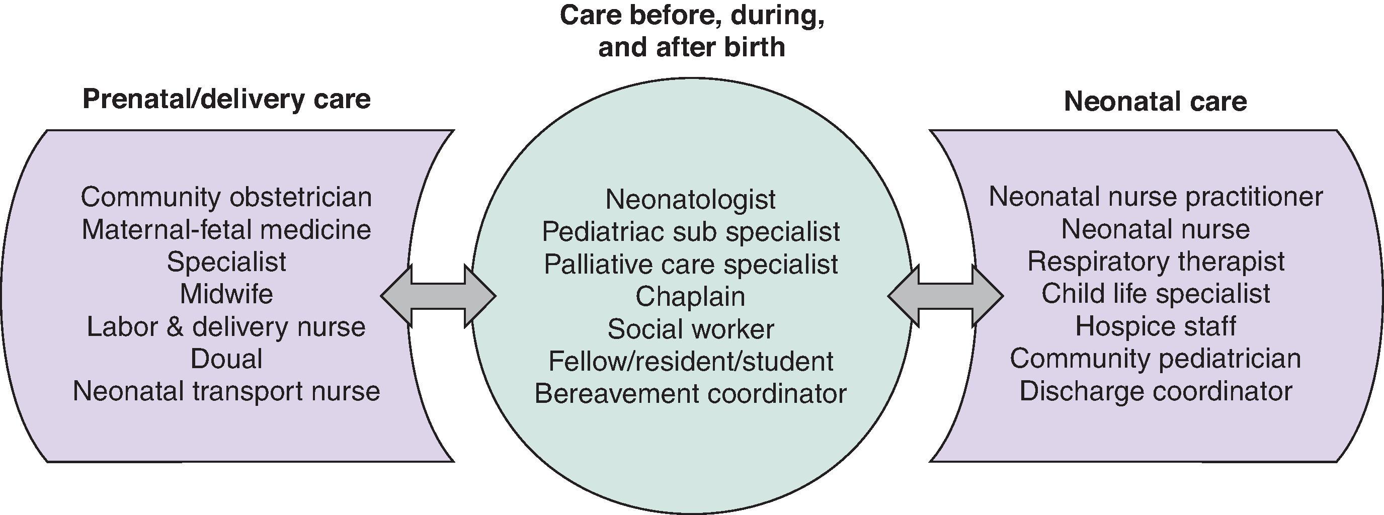 Fig. 88.2, Potential Interdisciplinary Team Members .