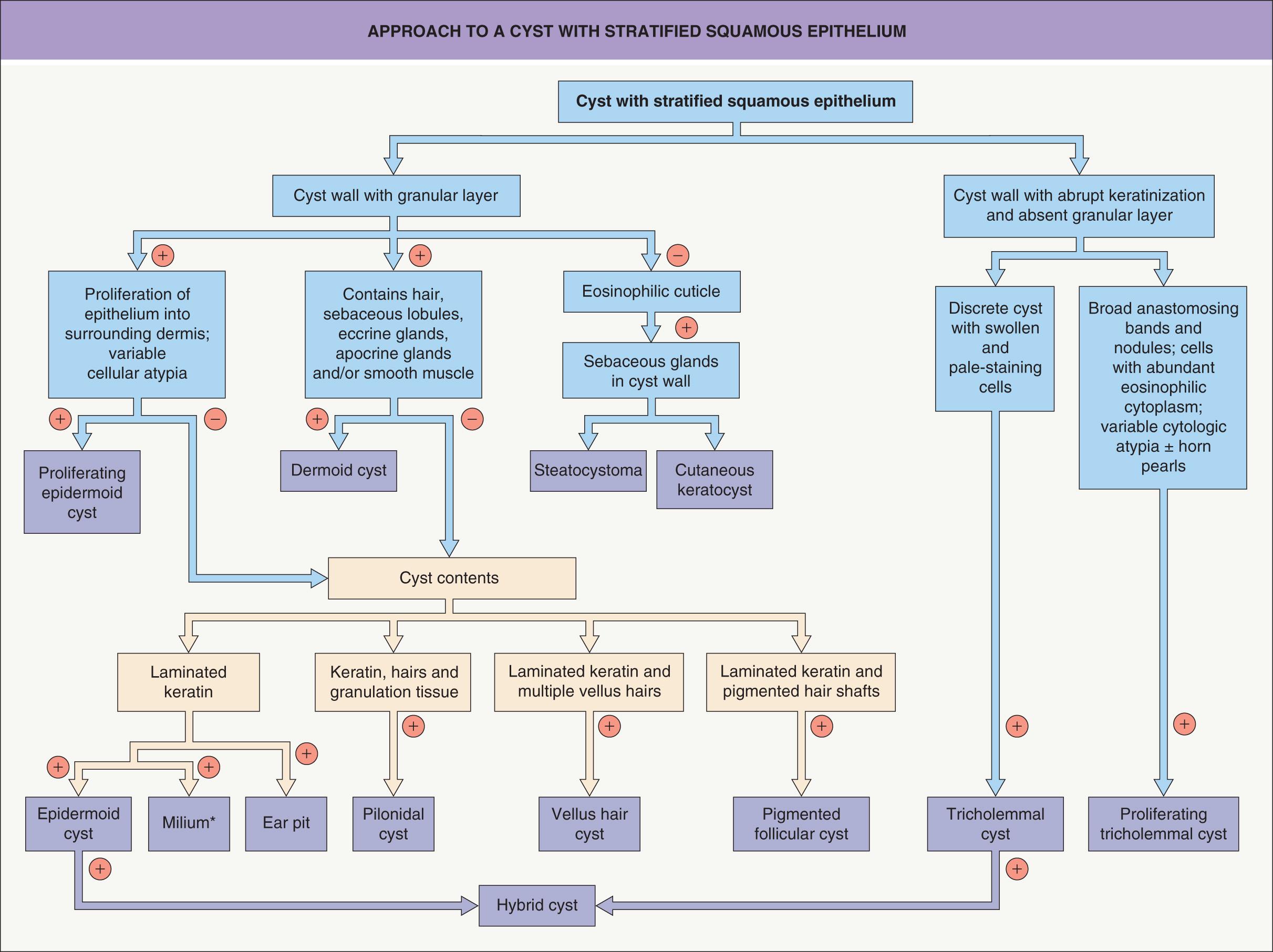 Fig. 110.1, Approach to a cyst with stratified squamous epithelium.