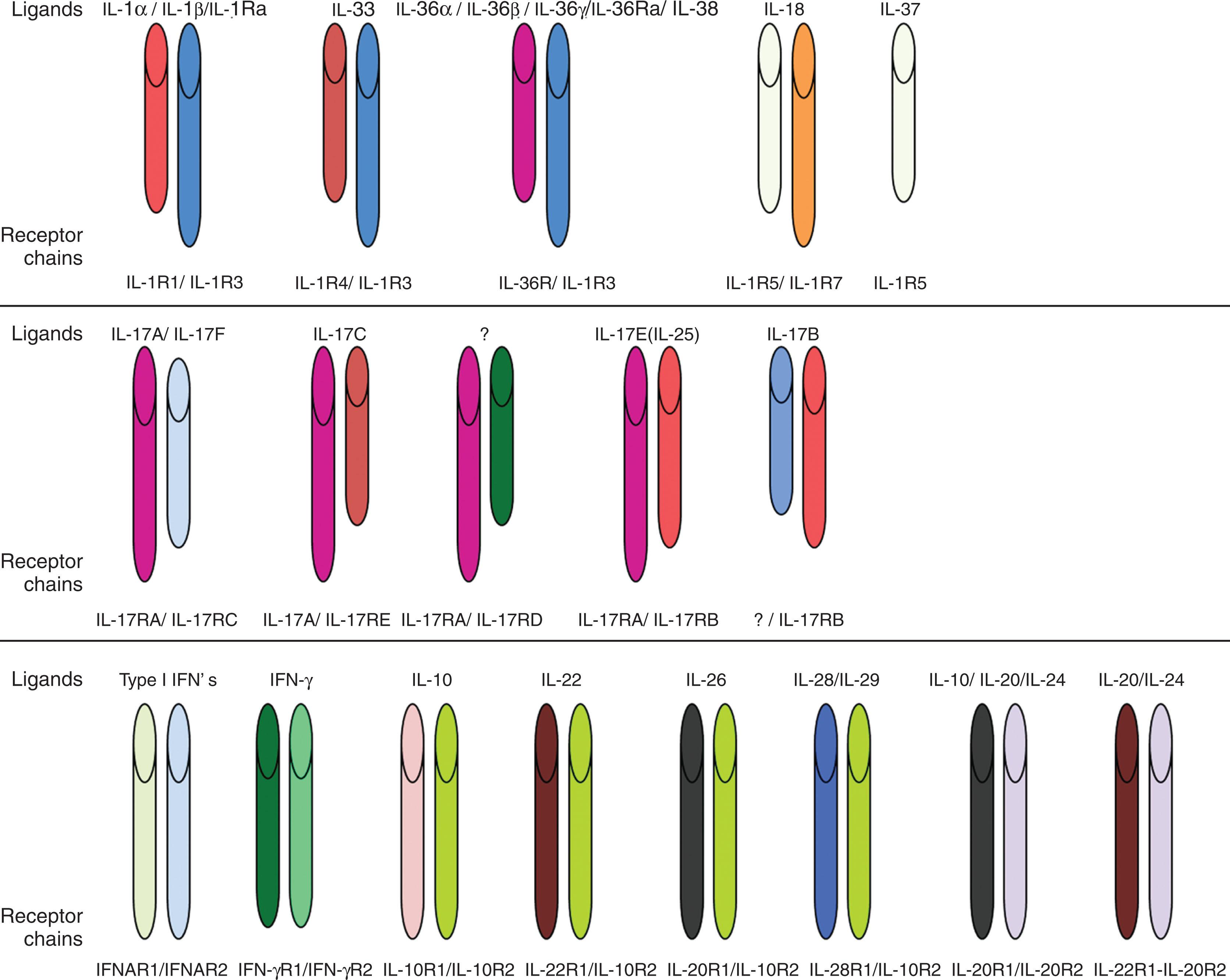 Figure 11.2, SCHEMATIC DIAGRAMS OF INTERLEUKIN (IL)-1, IL-17, AND TYPE II CYTOKINE FAMILY MEMBERS AND RECEPTORS.