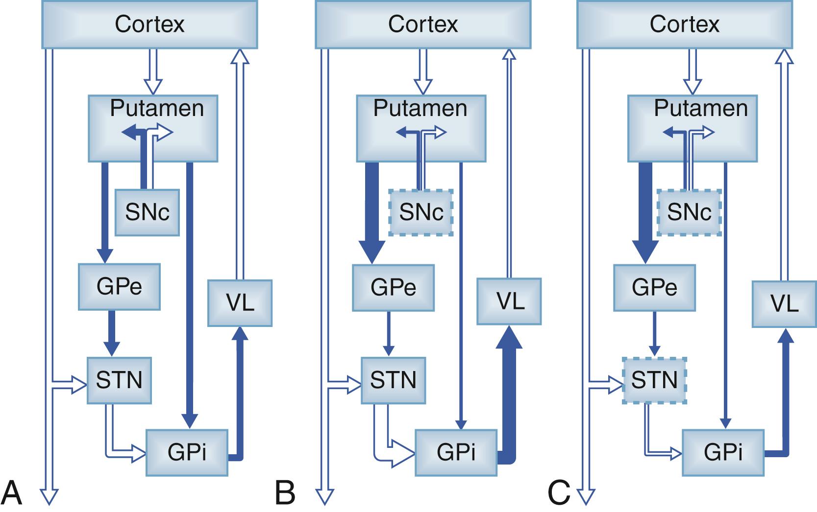 Figure 111.1, The classic rate model of the basal ganglia–thalamocortical circuit.