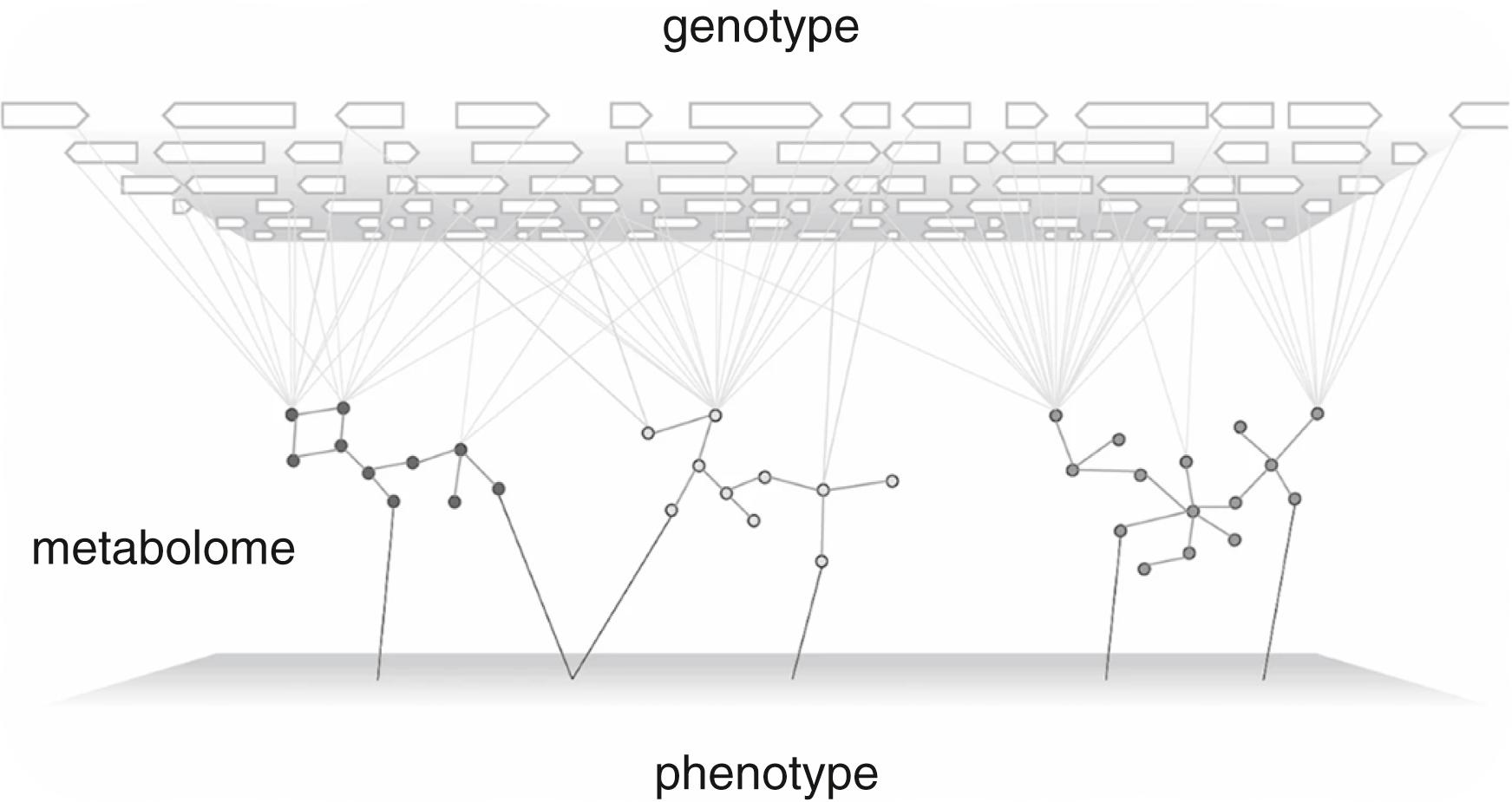 Fig. 54.1, Genotype to phenotype map.