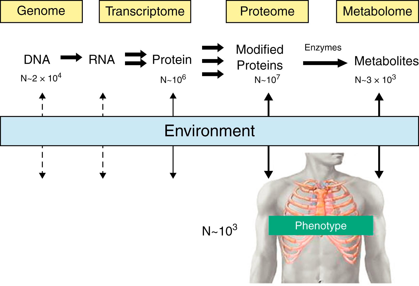 Fig. 54.2, Numerical mismatch between the numbers of panomic data and phenotypes.