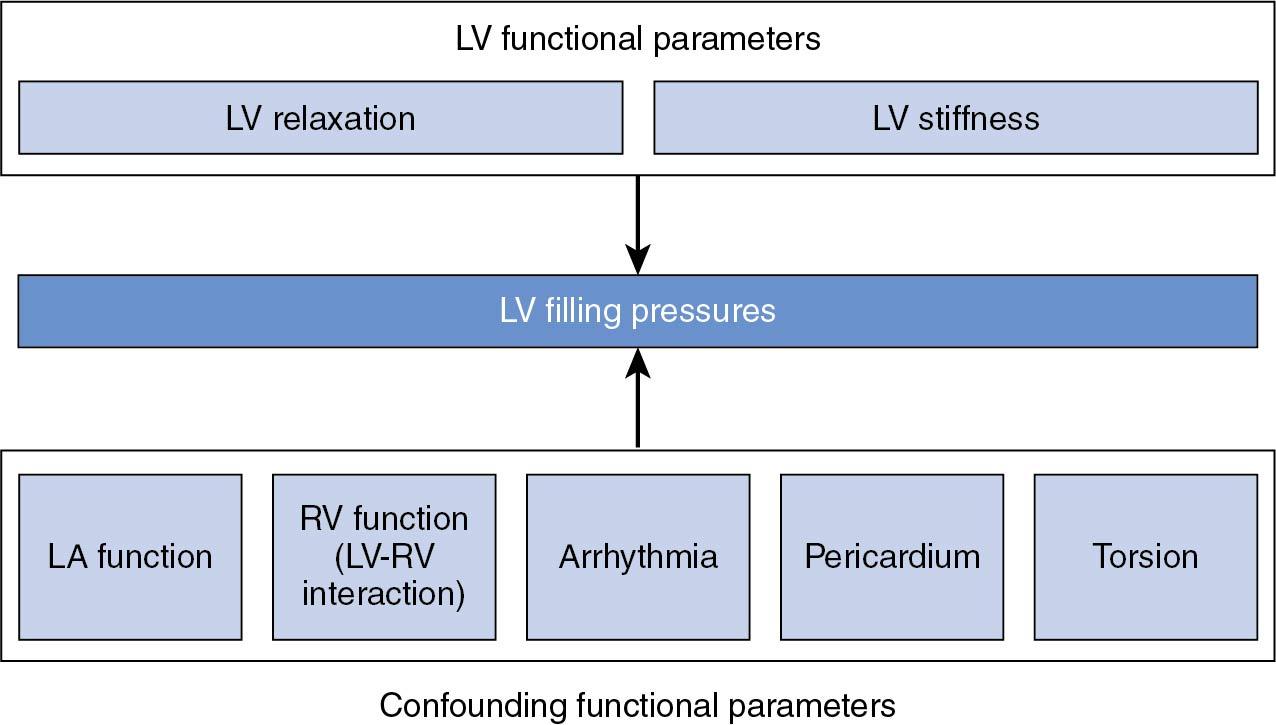 Fig. 6.1, Contributors of left ventricular (LV) filling pressure. LV filling pressure is caused by LV functional parameters (impaired LV relaxation, increased LV chamber stiffness) and confounding functional parameters (LA function, RV function, arrhythmia, pericardium, torsion). LA, Left atrial; RV, right ventricular.