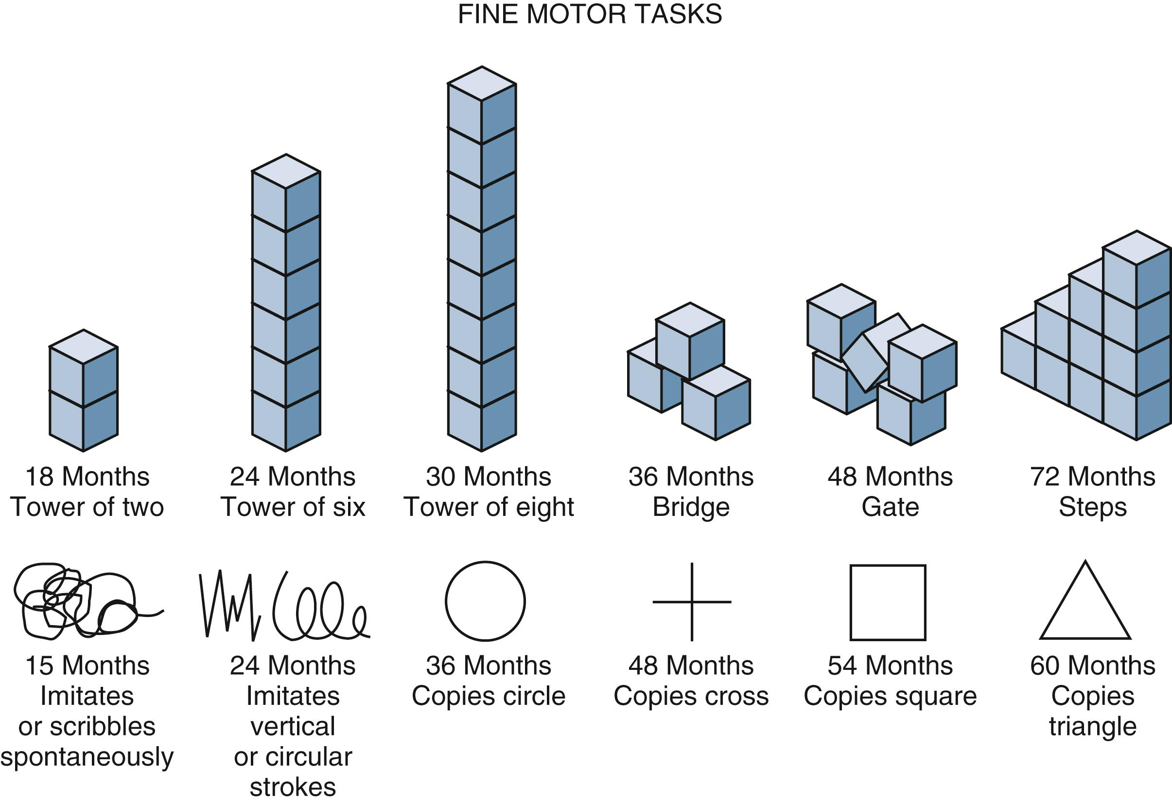 Fig. 3.19, Development of fine motor skills.