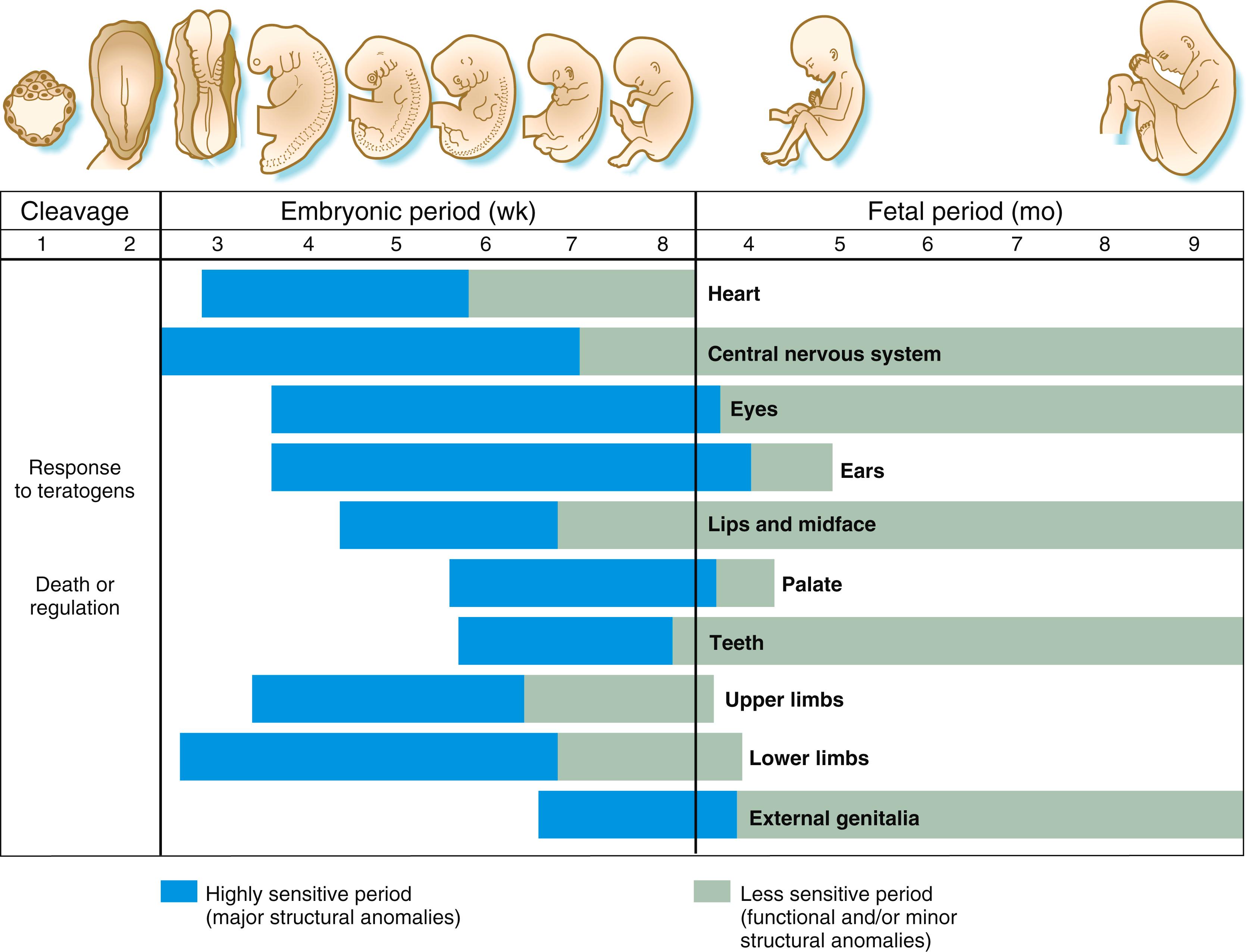 Fig. 8.7, Periods and degrees of susceptibility of embryonic organs to teratogens.