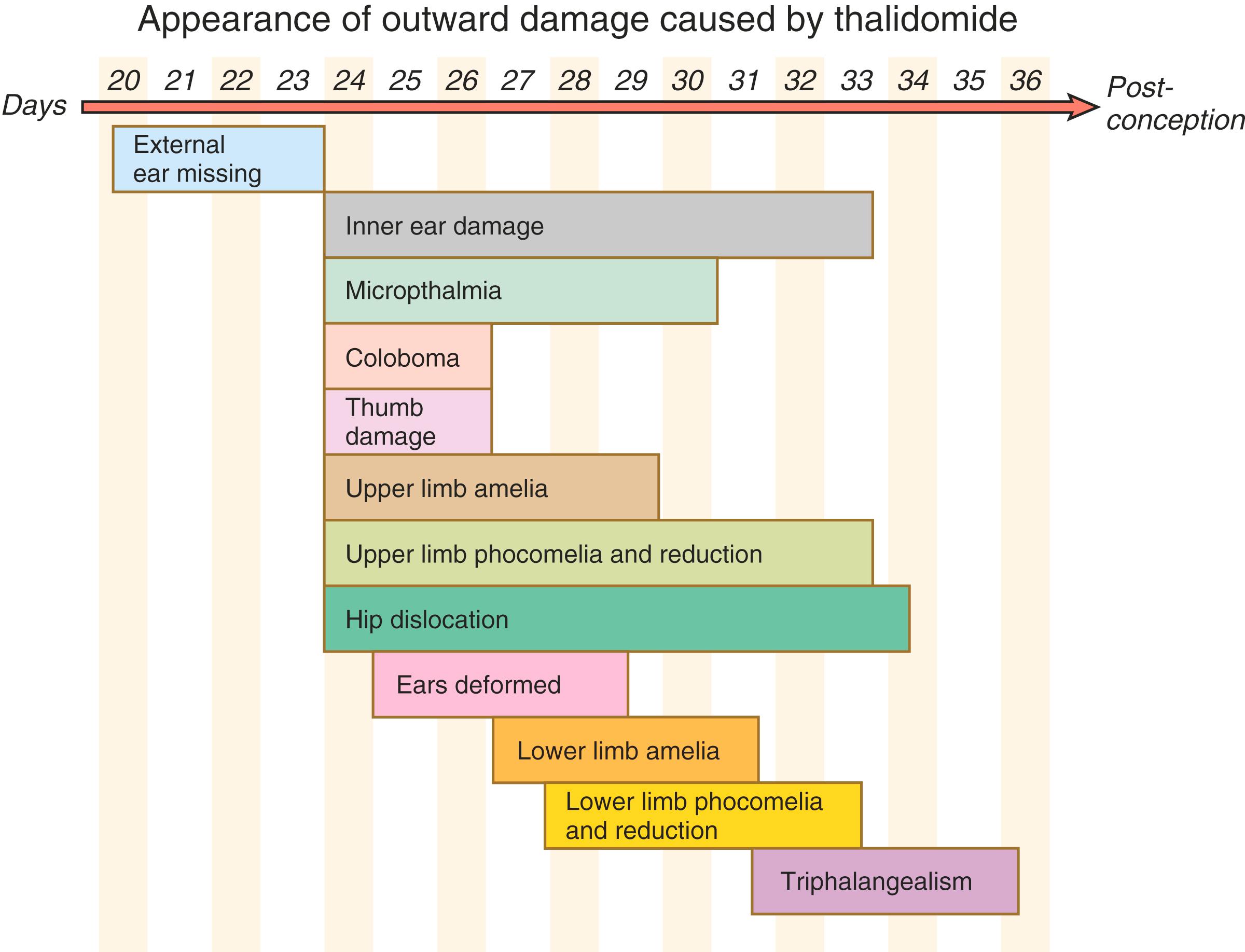 Fig. 8.8, Periods of greatest susceptibility of organ development in embryos exposed to thalidomide.