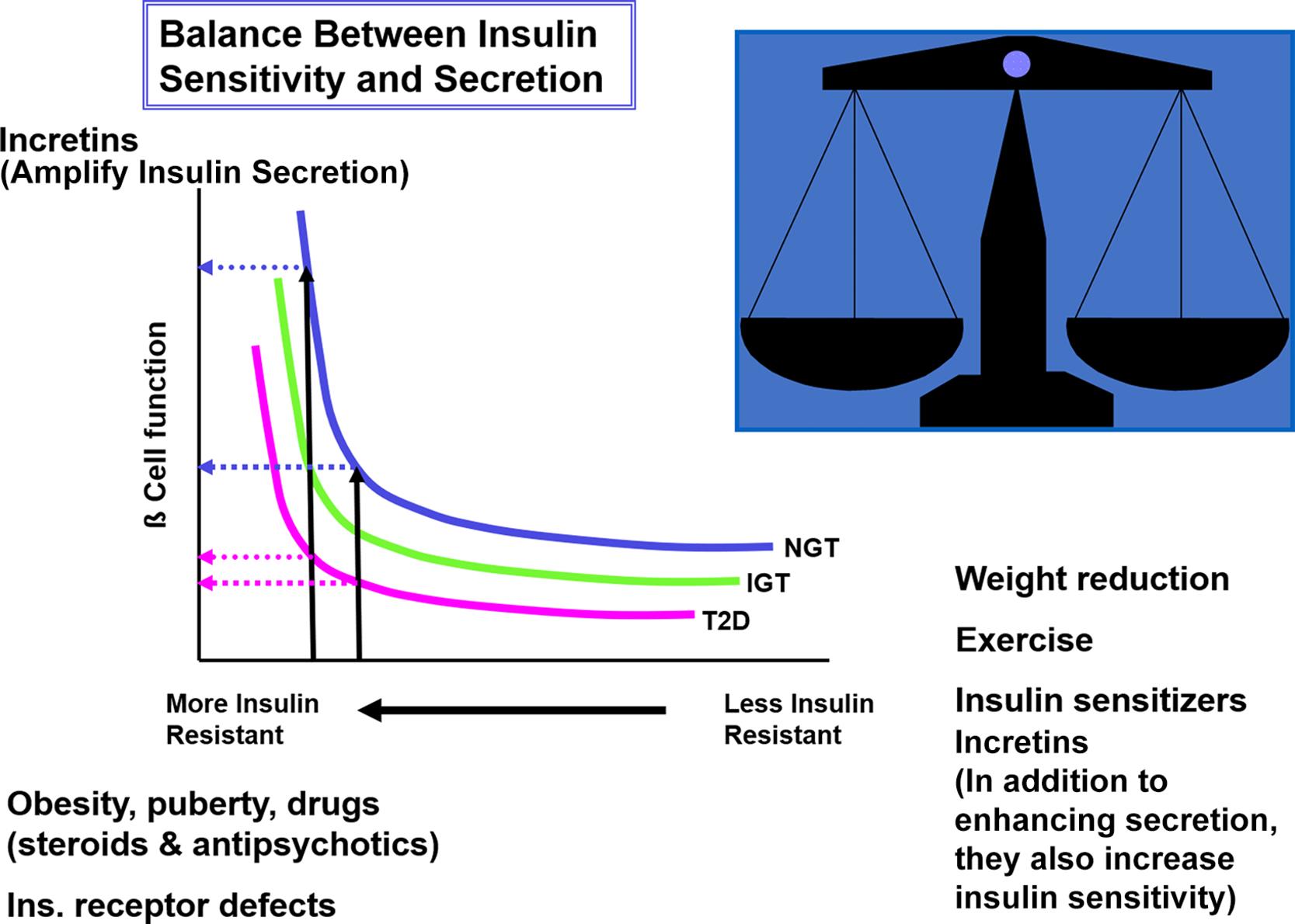 Fig. 21.1, The hyperbolic relationship of insulin resistance and beta-cell function. On the y-axis is beta-cell function as reflected in the first-phase insulin response during intravenous (IV) glucose infusion; on the x-axis is insulin sensitivity and its mirror image resistance. In a subject with normal glucose tolerance ( NGT ) and beta-cell reserve, an increase in insulin resistance results in increased insulin release and normal glucose tolerance. In an individual for whom the capacity to increase insulin release is compromised, increasing insulin resistance with partial or no beta-cell compensation results in progression from normal glucose tolerance, to impaired glucose tolerance ( IGT ), and finally to diabetes ( T2D ). Differences between these categories are small at high insulin sensitivity, which may be maintained by weight reduction, exercise, and certain drugs. At a critical degree of insulin resistance, because of obesity or other listed factors, only a further small increment in resistance requires a large increase in insulin output. Those that can increase insulin secretion to this extent retain normal glucose tolerance; those who cannot achieve this degree of insulin secretion (e.g., because of a mild defect in genes regulating insulin synthesis, insulin secretion, insulin action, or an ongoing immune destruction of beta cells) now unmask varying degrees of carbohydrate intolerance. The product of insulin sensitivity (the reciprocal of insulin resistance) and acute insulin response (a measurement beta-cell function) has been called the “ disposition index .” This index remains constant in an individual with normal beta-cell compensation in response to changes in insulin resistance. Incretins are hormone such as GLP-1, which augument insulin secretino and also increase insulin sensitivity.