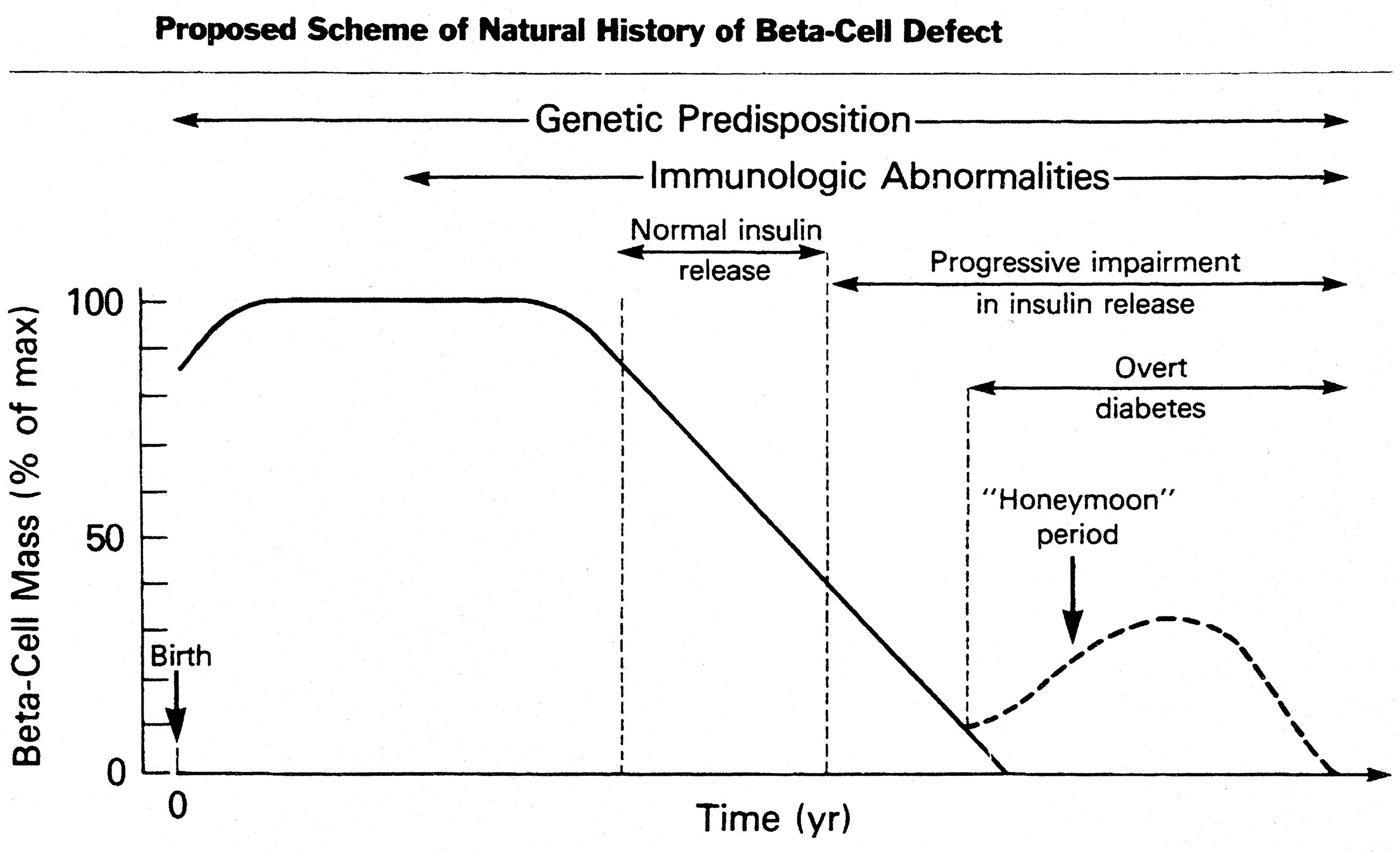 Fig. 21.3, Proposed scheme of natural history of the evolution of insulin-dependent diabetes mellitus with progressive beta-cell failure.