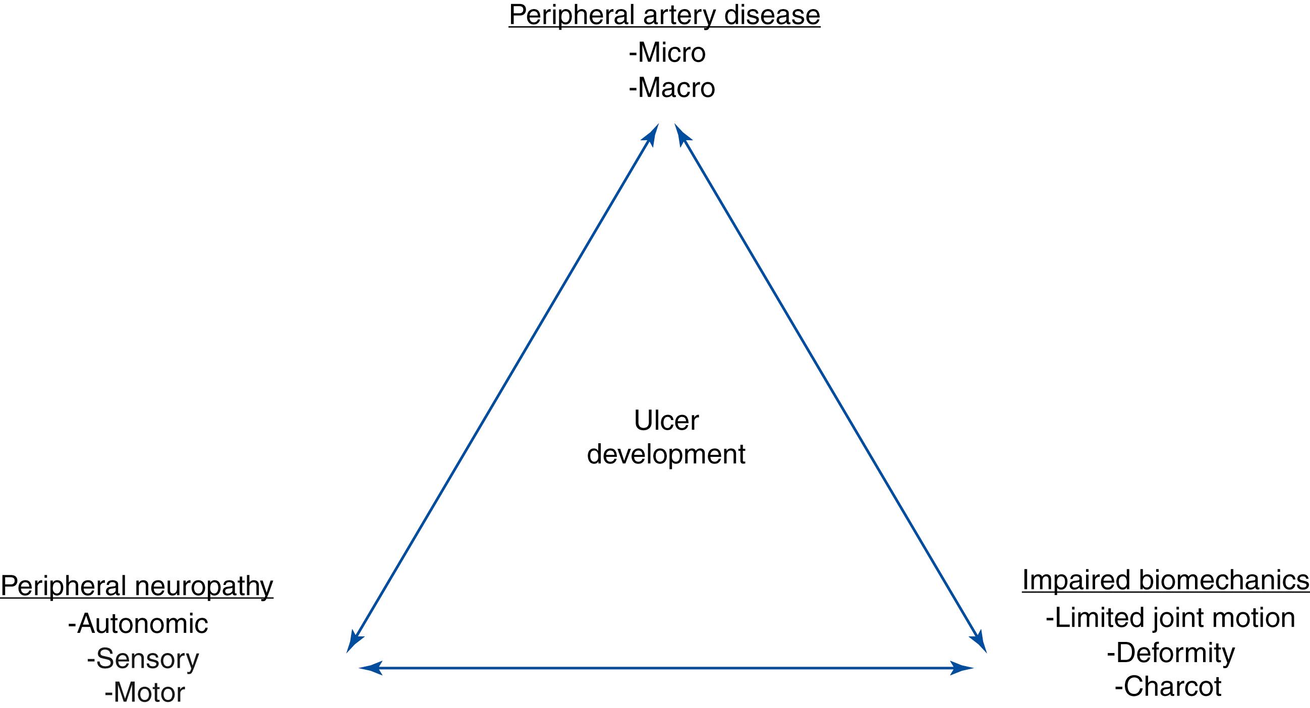 Figure 117.1, The triad of peripheral neuropathy, patho-biomechanics, and peripheral vascular disease lead to diabetic foot ulcers.